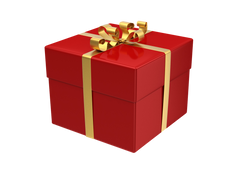 Kinky Box by Nina